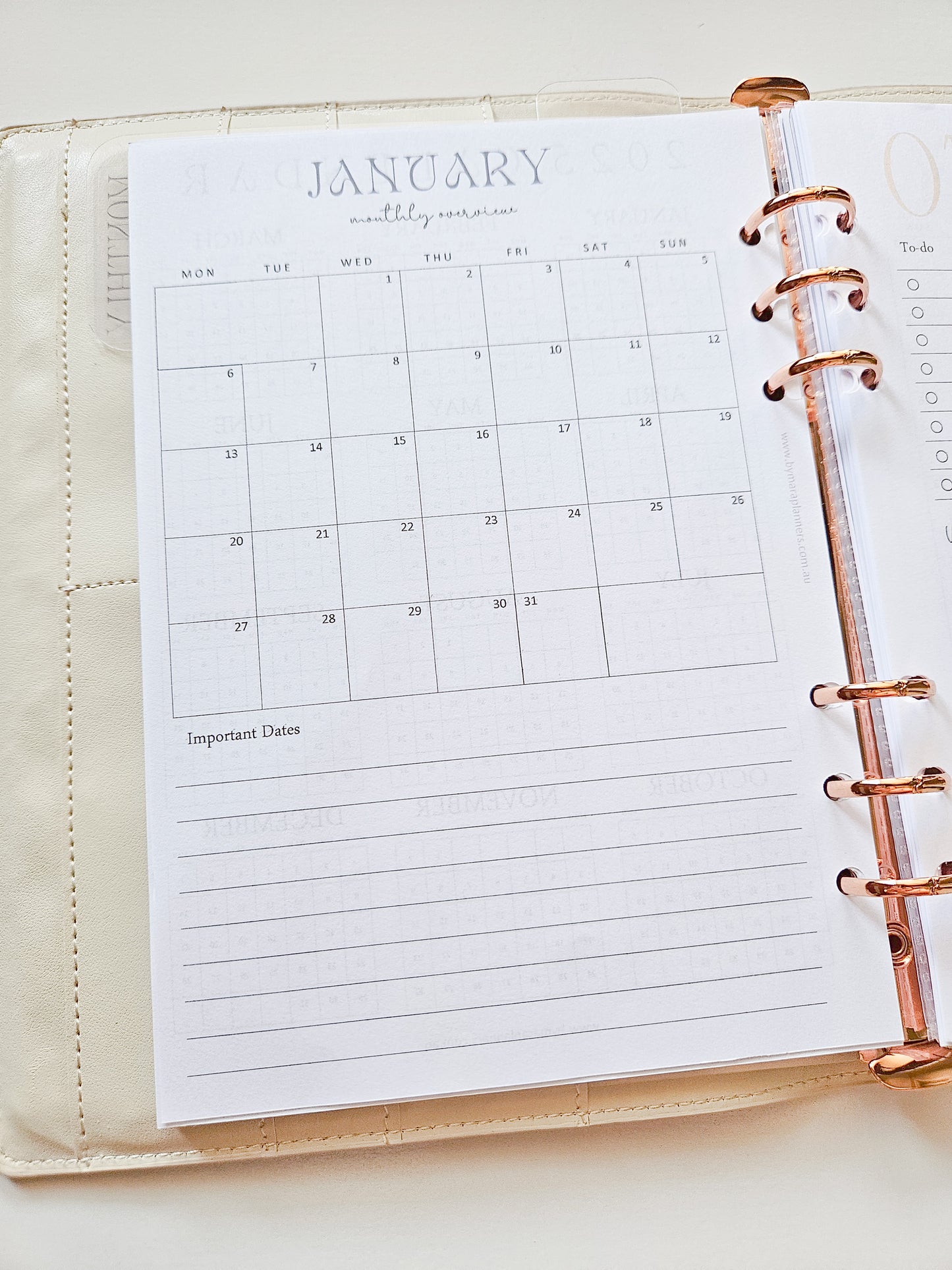 2025 Monthly Overview| Planner inserts | A5