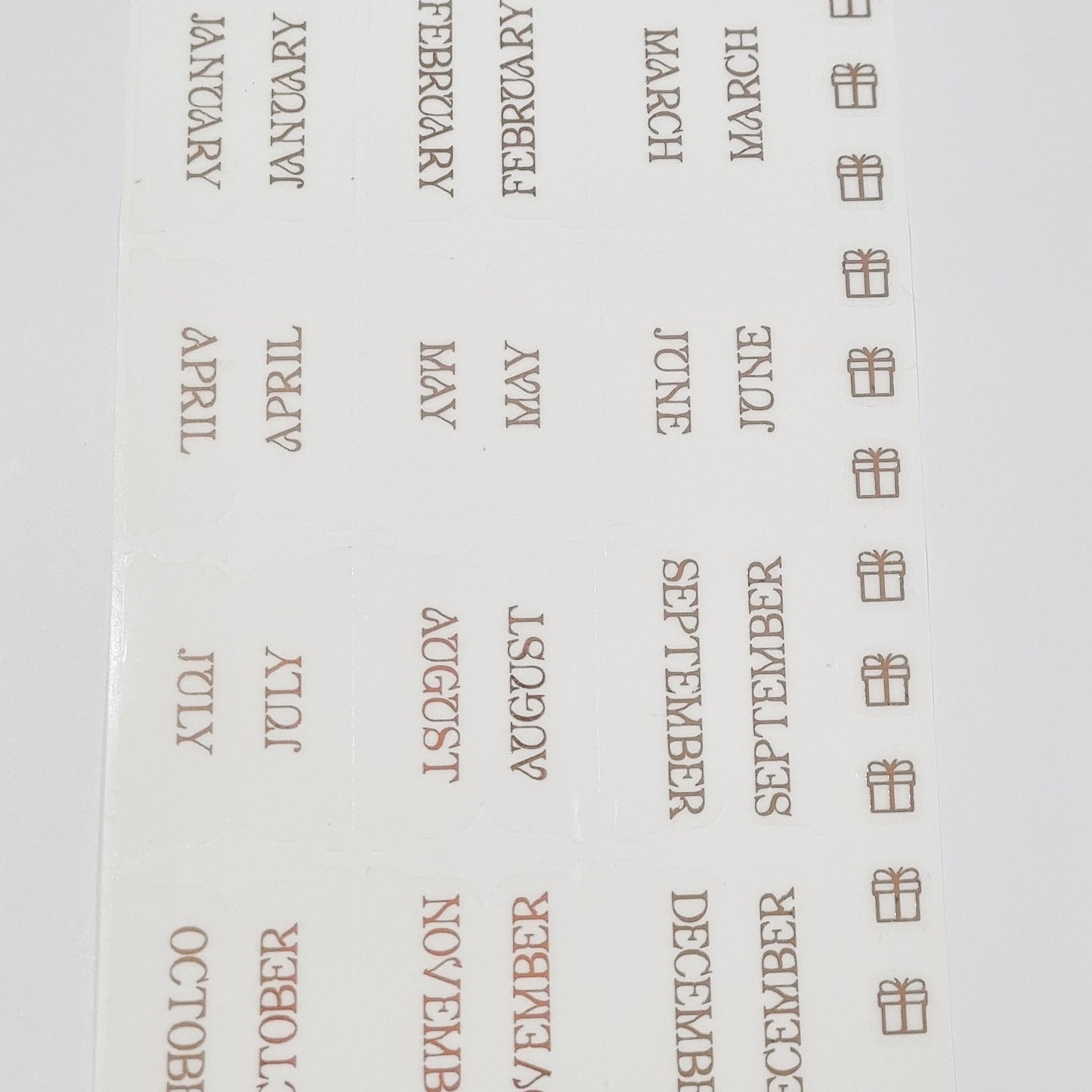 Rose Gold Foiled monthly tab Stickers