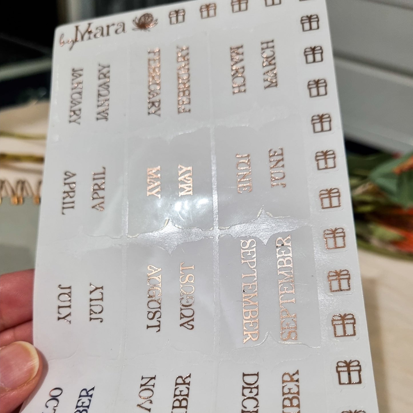 Rose Gold Foiled monthly tab Stickers