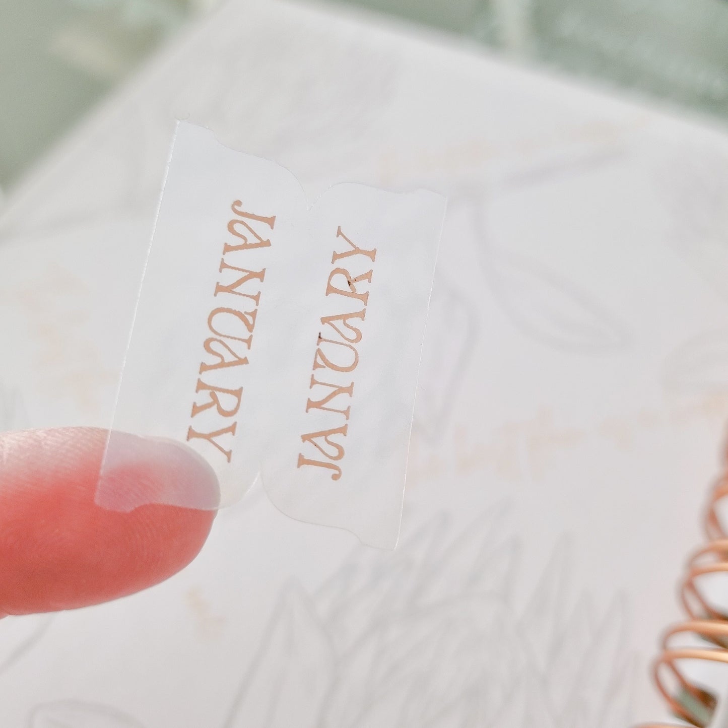 Rose Gold Foiled monthly tab Stickers