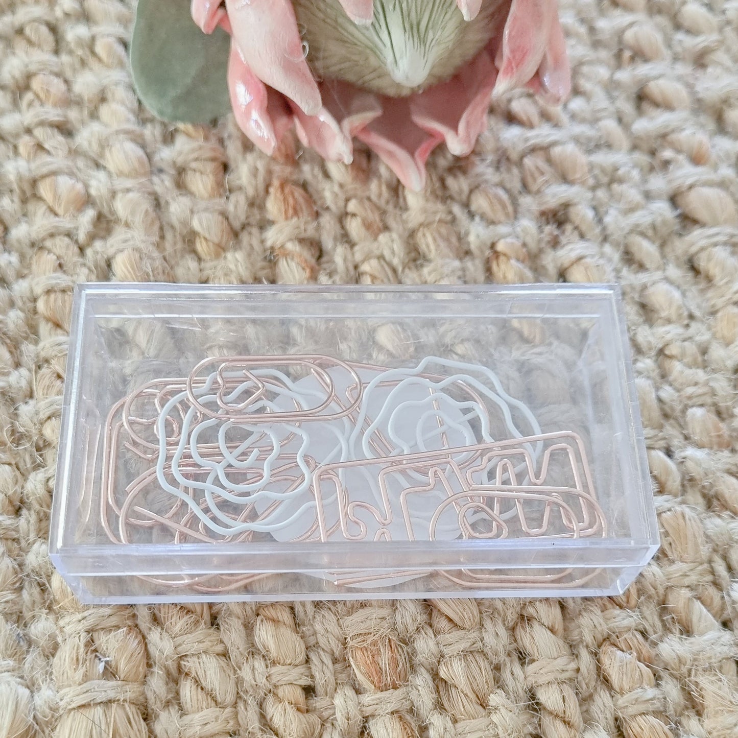 10 Mixed Paper Clips